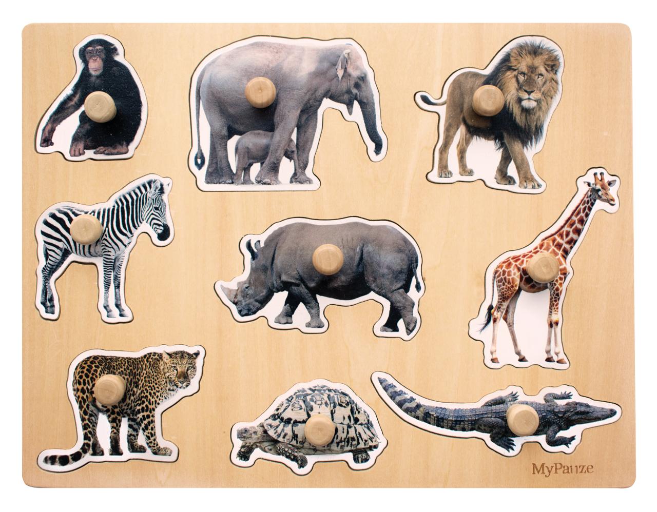 MYPAUZE Knoppussel vilda djur | Skola och förskola - Lekmaterial - Pussel - Knoppussel | Kontorsexperten