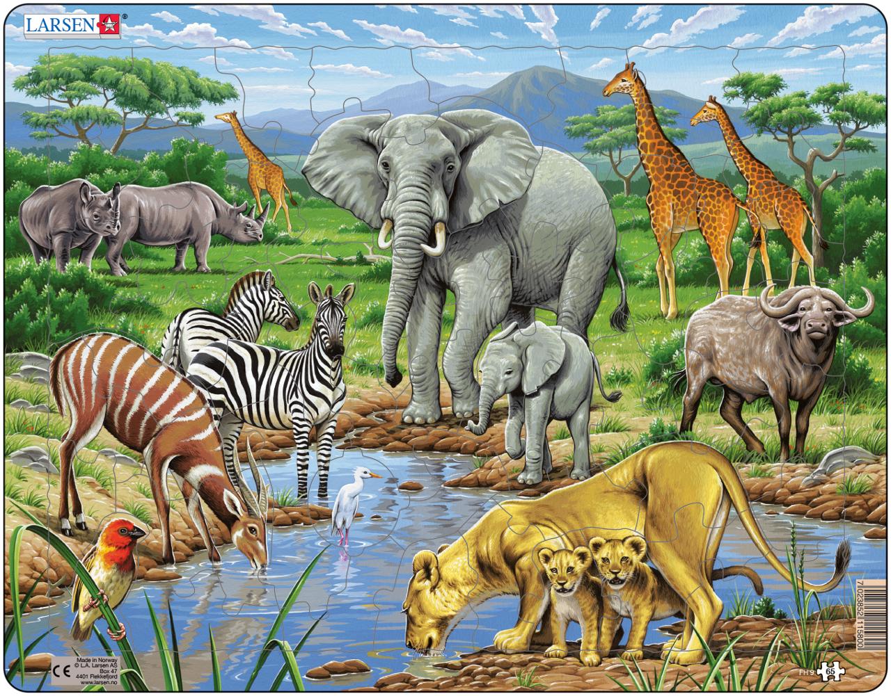Rampussel Afrikanska savannen 65 bitar | Skola och förskola - Lekmaterial - Pussel - Rampussel | Kontorsexperten