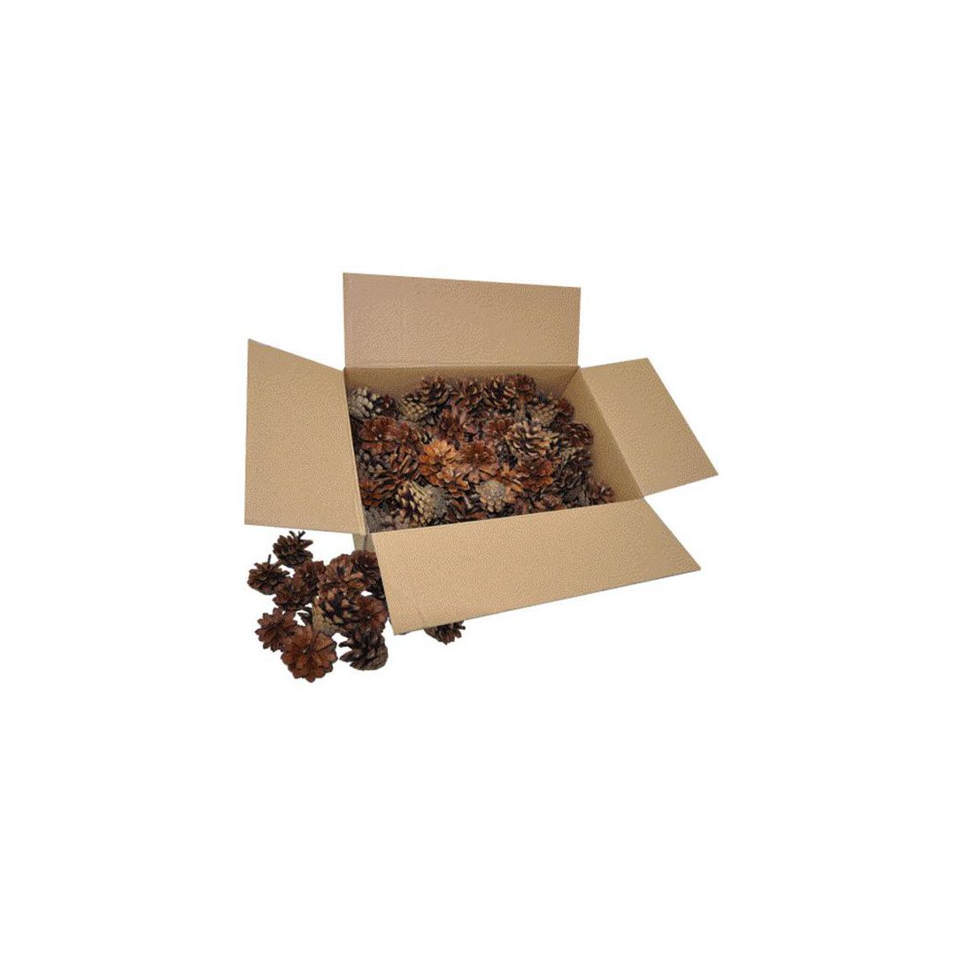 PLAYBOX Tallkottar 125/FP 125/fp | Skola och förskola - Hobbymaterial - Pyssel | Kontorsexperten