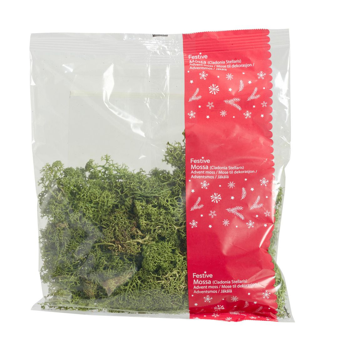 Dekoration mossa grön 100g | Kontorsmöbler och inredning - Lampor och belysning - Dekorationsbelysning | Kontorsexperten