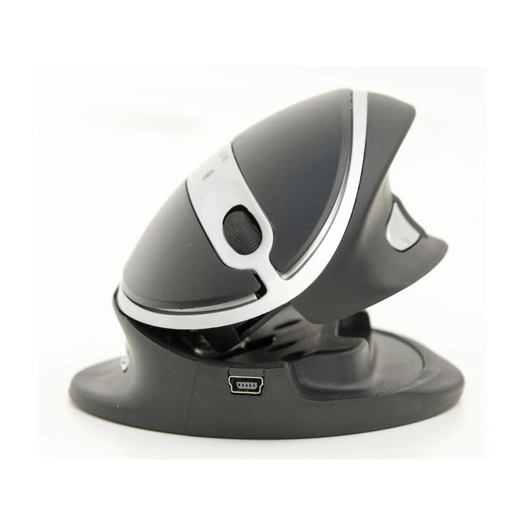 Mus Ergonomisk OYSTER Standard Kabel | Datorprodukter - Kringutrustning - Möss | Kontorsexperten