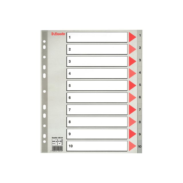 ESSELTE Plastregister, polypropylen, 10 delar, A4+, grå | Kontorsmaterial - Pärmar och register - Plastregister - Tryckta | Kontorsexperten