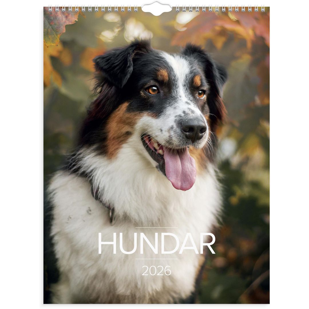 Burde Väggkalender Stora Hundkalendern 2026 | Almanackor och kalendrar - Väggkalendrar - Bildkalendrar | Kontorsexperten