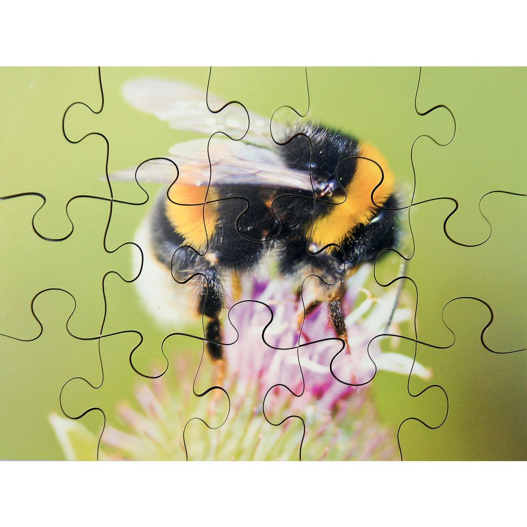 Pussel Småkryp 8 olika pussel | Skola och förskola - Lekmaterial - Pussel - Askpussel | Kontorsexperten