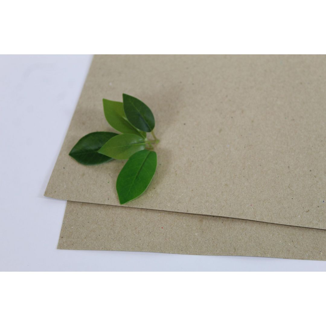 Växtpresspapper 400x470mm 180g 250/fp | Skola och förskola - Hobbypapper - Växtpapper | Kontorsexperten