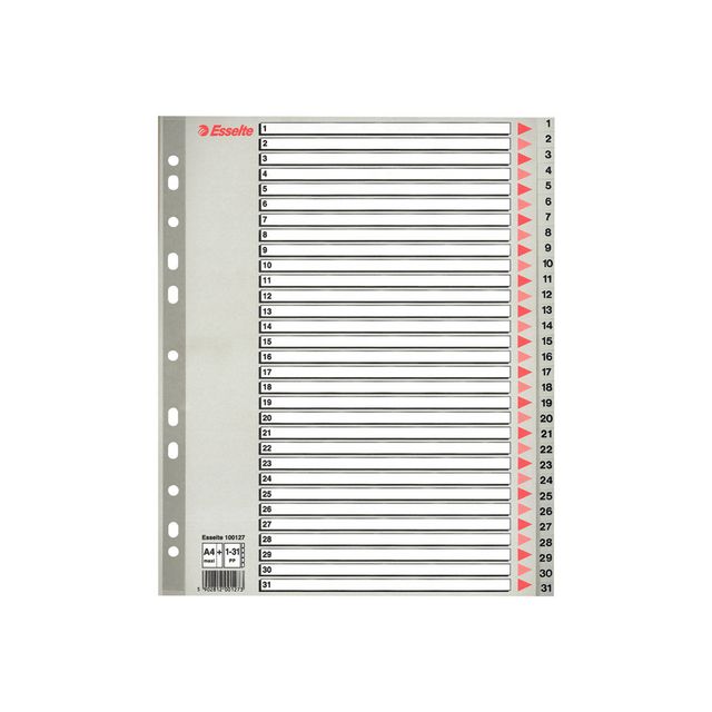 ESSELTE Plastregister, polypropylen, 31 delar, A4+, grå | Kontorsmaterial - Pärmar och register - Plastregister - Tryckta | Kontorsexperten