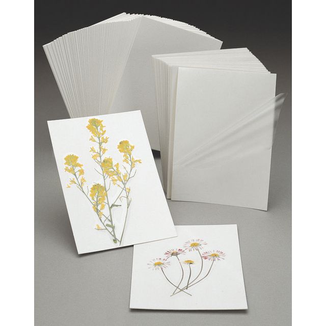 Kontaktplastkort 50/fp | Skola och förskola - Hobbymaterial - Pyssel | Kontorsexperten