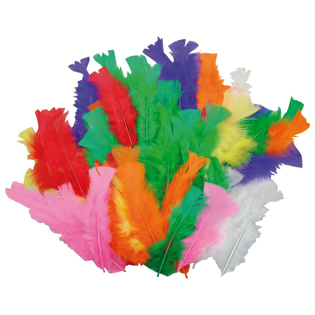 PLAYBOX Fjädrar 35-50mm blandade färger 60/fp | Skola och förskola - Hobbymaterial - Fjädrar och påskfjädrar | Kontorsexperten