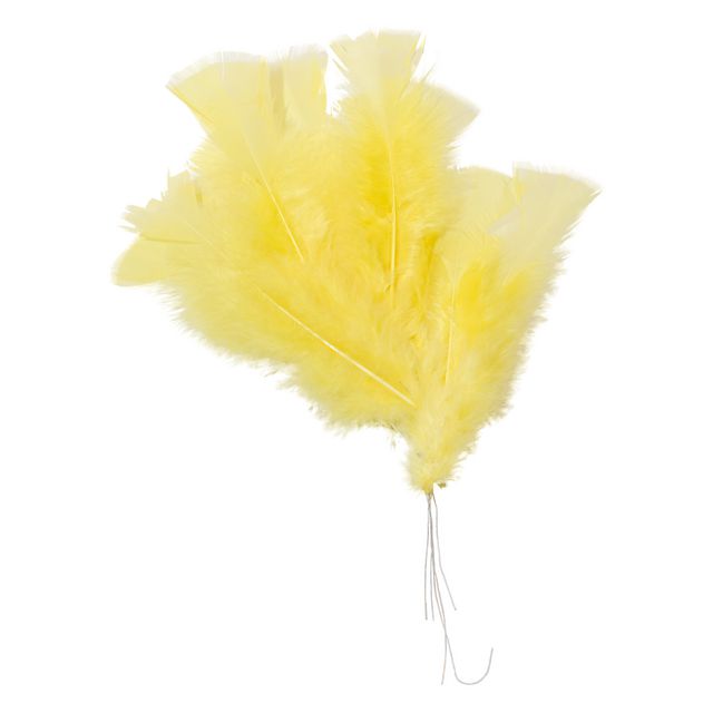 PLAYBOX Fjädrar 120-150mm gula 48/fp | Skola och förskola - Hobbymaterial - Fjädrar och påskfjädrar | Kontorsexperten