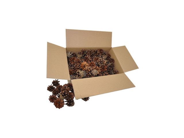 PLAYBOX Tallkottar 125/FP 125/fp | Skola och förskola - Hobbymaterial - Pyssel | Kontorsexperten