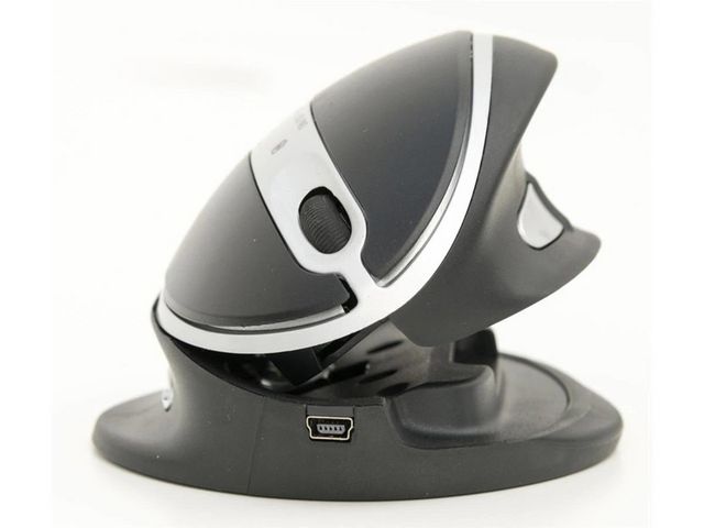 Mus Ergonomisk OYSTER Standard Kabel | Datorprodukter - Kringutrustning - Möss | Kontorsexperten