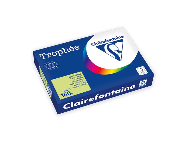 Clairefontaine Kopieringspapper A4 160g ohålat naturgrön 250/fp | Kontorspapper - Specialpapper - Färgat - A4 | Kontorsexperten