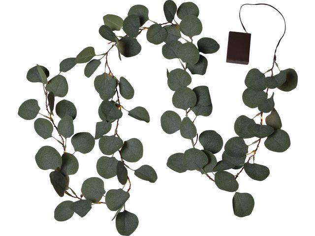 STAR TRADING Ljusslinga Eucalyptus timer 180cm | Kontorsmöbler och inredning - Lampor och belysning - Ljusslingor | Kontorsexperten