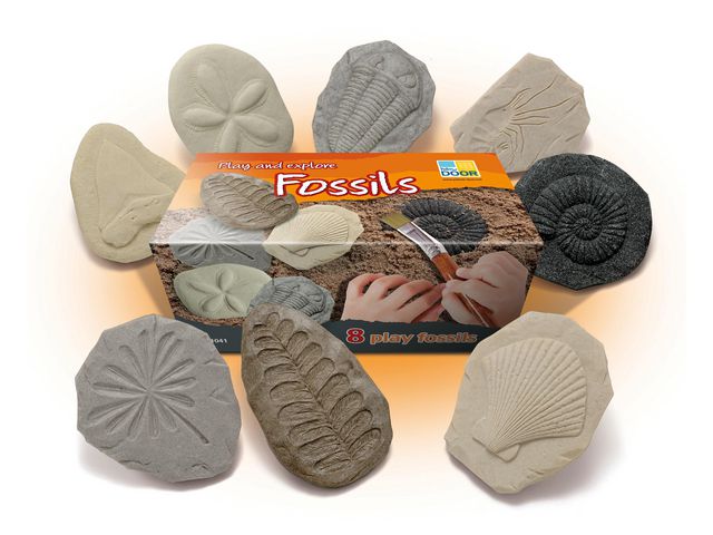 YELLOW DOOR Undersök Fossilier av sten 8/fp | Skola och förskola - Lekmaterial - Lekfigurer - Djur | Kontorsexperten