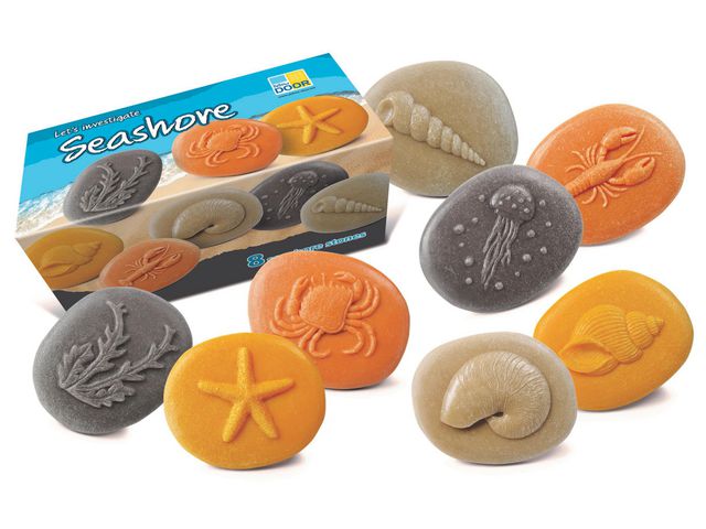YELLOW DOOR Undersök Havet av sten 8/fp | Skola och förskola - Lekmaterial - Lekfigurer - Djur | Kontorsexperten