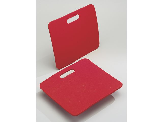 Sittdyna 5/fp | Skola och förskola - Klassrummet / Lära - Biologi | Kontorsexperten