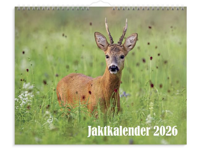 Burde Väggkalender Jaktkalender 2026 | Almanackor och kalendrar - Väggkalendrar - Bildkalendrar | Kontorsexperten