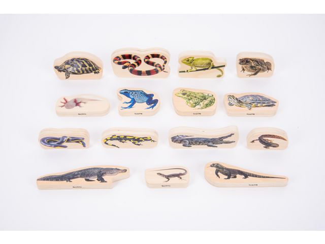 Träfigurer ormar och groddjur 15/fp | Skola och förskola - Lekmaterial - Lekfigurer - Djur | Kontorsexperten