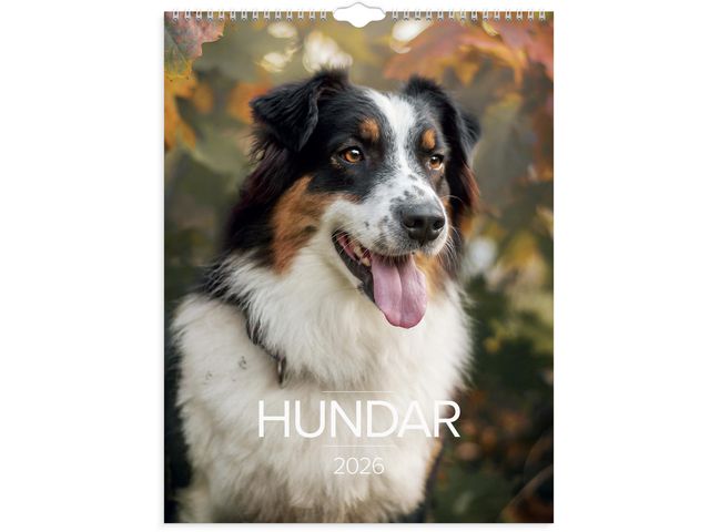 Burde Väggkalender Stora Hundkalendern 2026 | Almanackor och kalendrar - Väggkalendrar - Bildkalendrar | Kontorsexperten