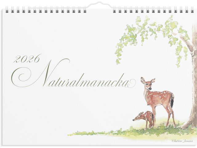 Burde Väggkalender Naturalmanacka 2026 | Almanackor och kalendrar - Väggkalendrar - Bildkalendrar | Kontorsexperten