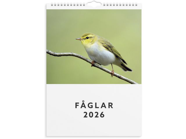 Burde Väggkalender 2026 Fåglar | Almanackor och kalendrar - Väggkalendrar - Bildkalendrar | Kontorsexperten
