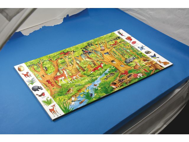 Pussel Skogen | Skola och förskola - Lekmaterial - Pussel - Askpussel | Kontorsexperten