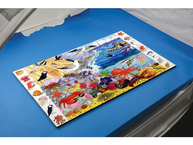 Pussel Havet | Skola och förskola - Lekmaterial - Pussel - Askpussel | Kontorsexperten