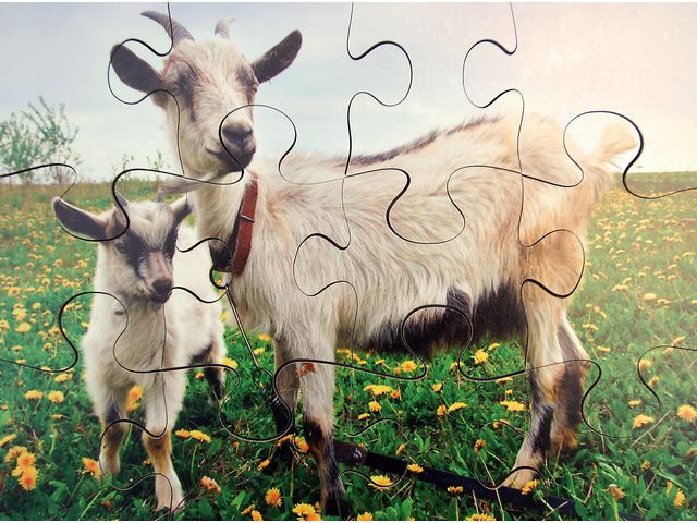 Pussel bondgårdsdjur 8 olika pussel | Skola och förskola - Lekmaterial - Pussel - Askpussel | Kontorsexperten