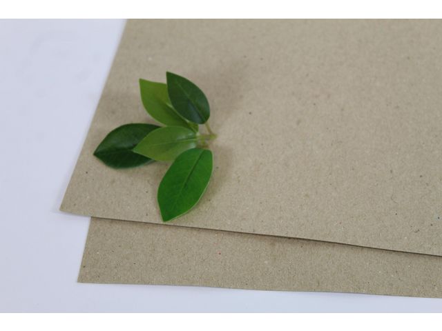 Växtpresspapper 400x470mm 180g 250/fp | Skola och förskola - Hobbypapper - Växtpapper | Kontorsexperten