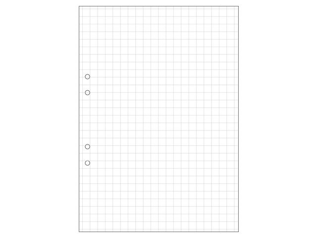 Lösblad A4, vitt 70g hålat papper, rutat 10x10mm 500/fp | Skola och förskola - Förbrukning skola häften - Lösblad och arbetsblad | Kontorsexperten