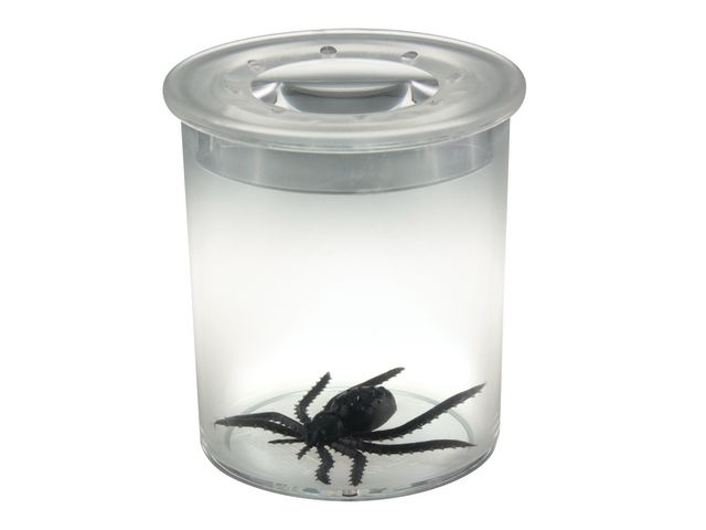 EDU-TOYS Förstoringsburk | Skola och förskola - Klassrummet / Lära - Biologi | Kontorsexperten