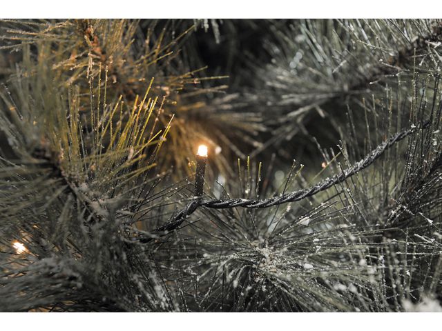 KONSTSMIDE Ljusslinga 120 amber micro LED 19m svart | Kontorsmöbler och inredning - Lampor och belysning - Ljusslingor | Kontorsexperten