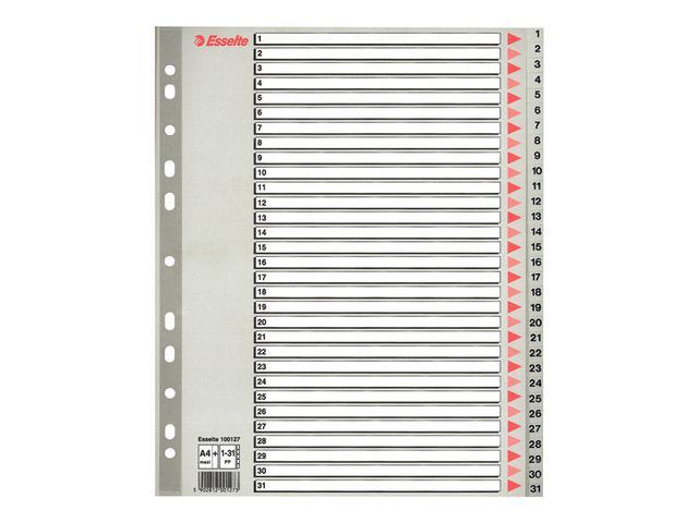 Esselte Plastregister, polypropylen, 31 delar, A4+, grå | Kontorsmaterial - Pärmar och register - Plastregister - Tryckta | Kontorsexperten