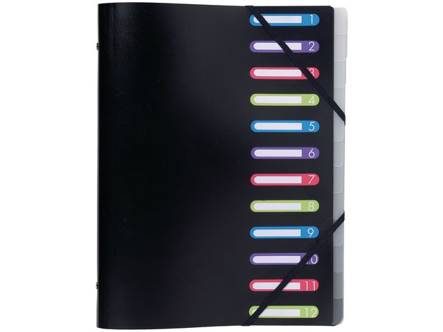 Exacompta Sorteringsmapp med 12 flikar och 3-klaffsficka svart A4 | Kontorsmaterial - Mappar och plastfickor - Sorteringsmappar | Kontorsexperten