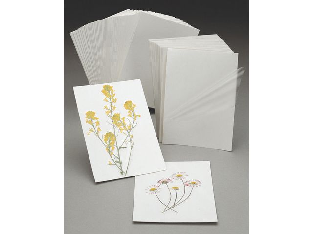 Kontaktplastkort 50/fp | Skola och förskola - Klassrummet / Lära - Biologi | Kontorsexperten