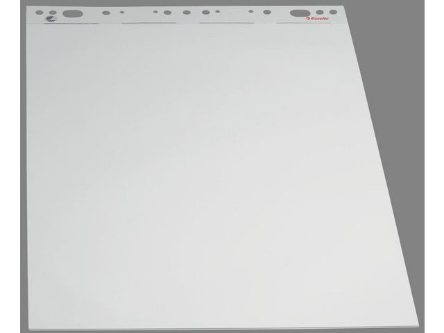 Produktfoto för Esselte Blädderblock 50 ark flerhålat 590x800mm vit