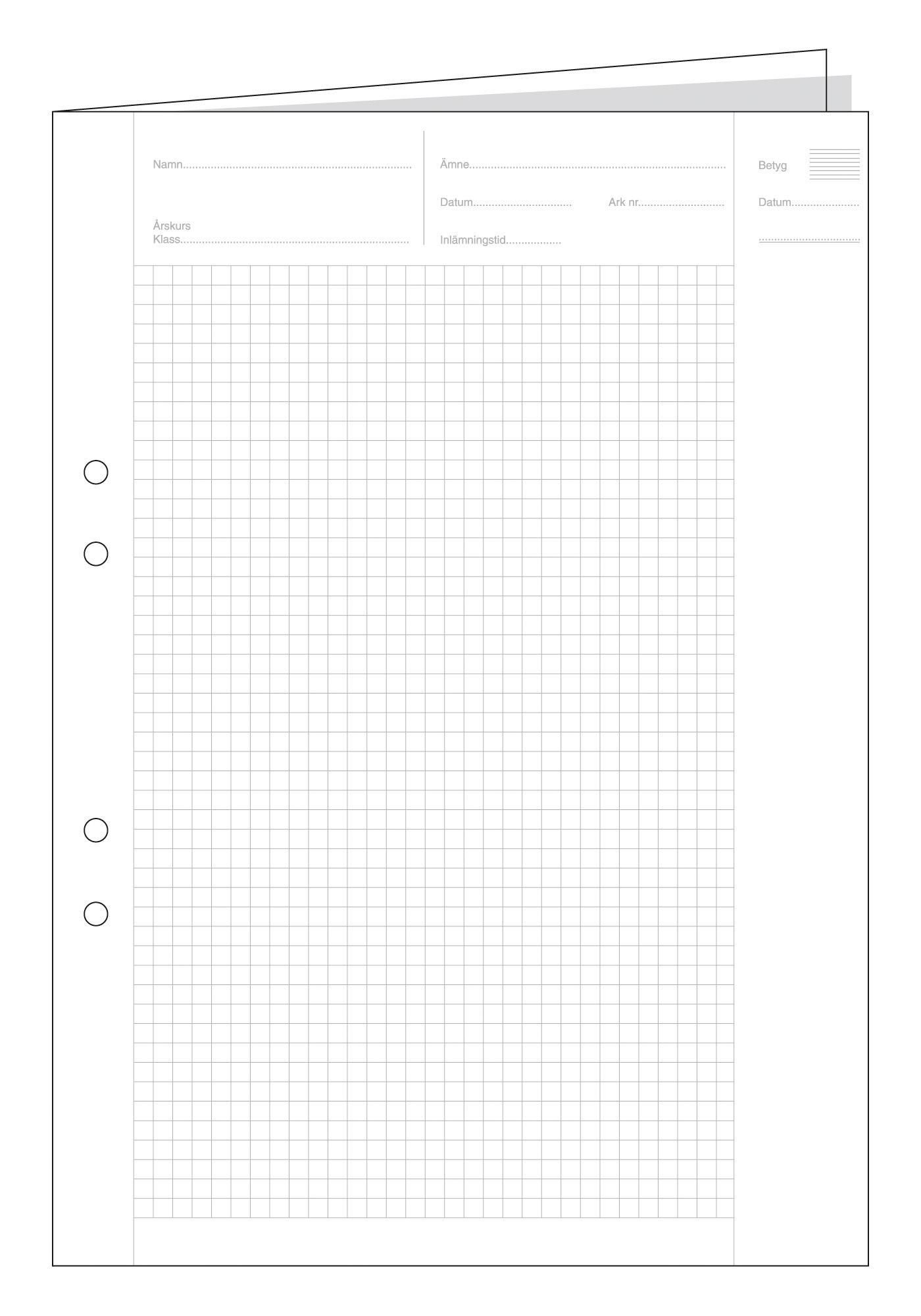 Provskrivningspapper A3 vikt, vitt 70g hålat papper, rutat 5x5mm, med standardtryck