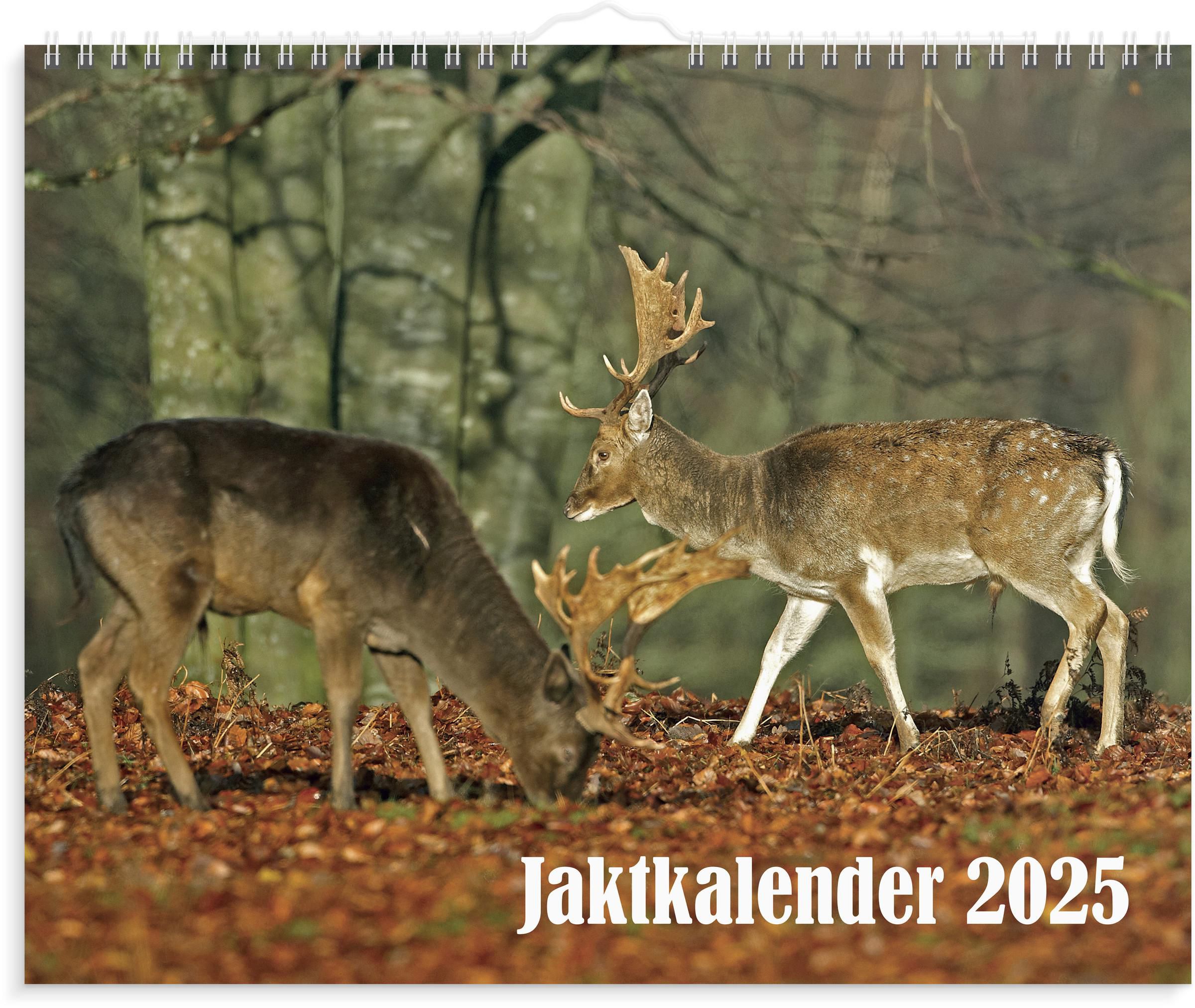 Burde Väggkalender 2025 Jaktkalender, st